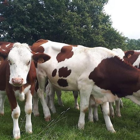 Gite A La Ferme, Avec Animaux, Fromages Et Nature Neuville-les-Decize Екстер'єр фото