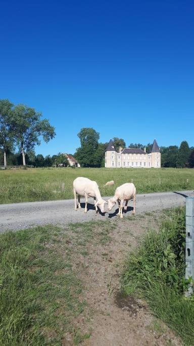Gite A La Ferme, Avec Animaux, Fromages Et Nature Neuville-les-Decize Екстер'єр фото