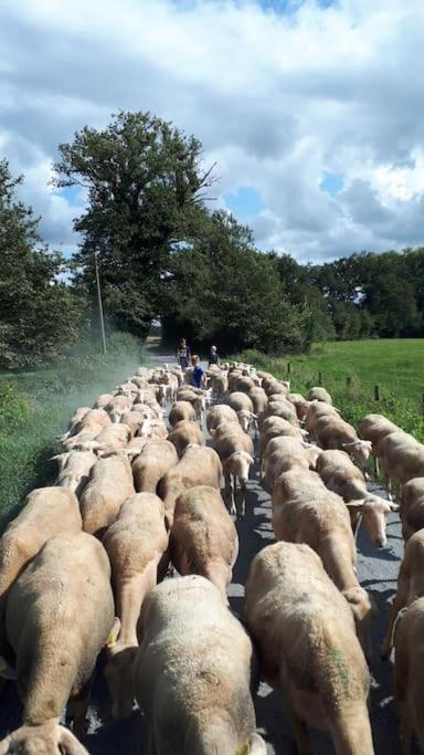 Gite A La Ferme, Avec Animaux, Fromages Et Nature Neuville-les-Decize Екстер'єр фото